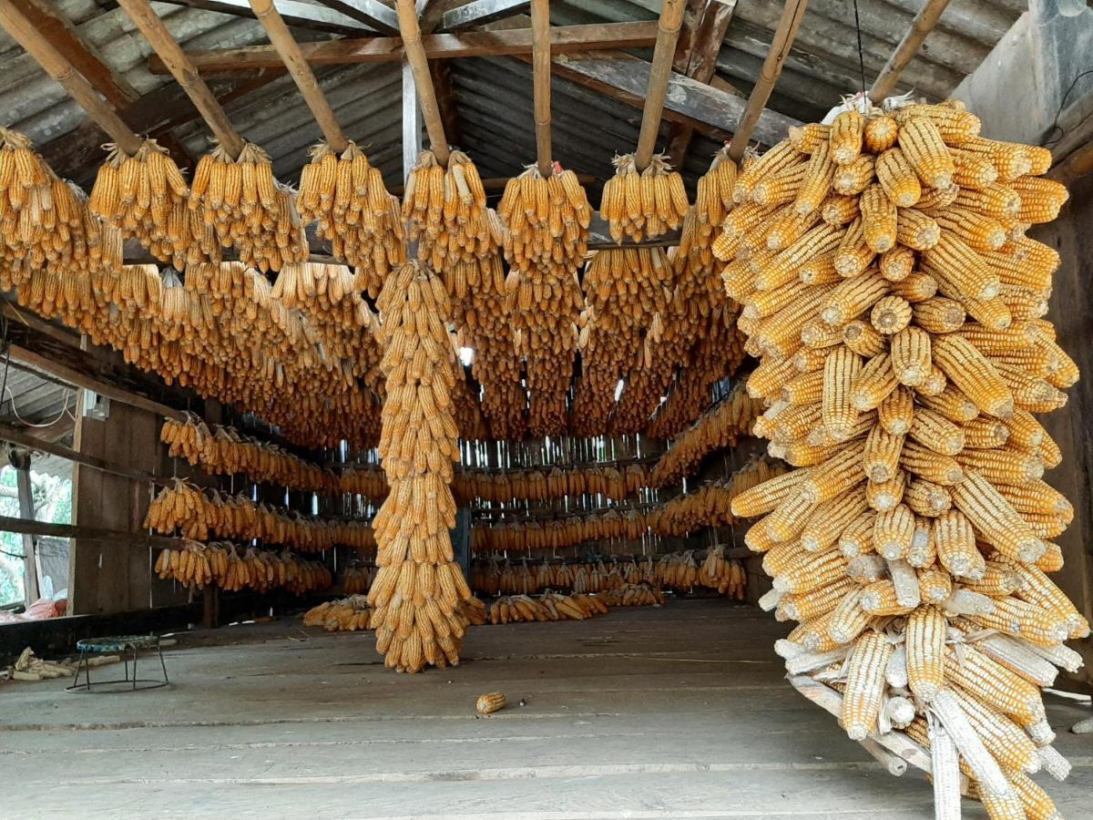 Dong Suoi H'Mong Homestay & Bungalow - Trek & Vegetarian Food Mu Cang Chai Εξωτερικό φωτογραφία