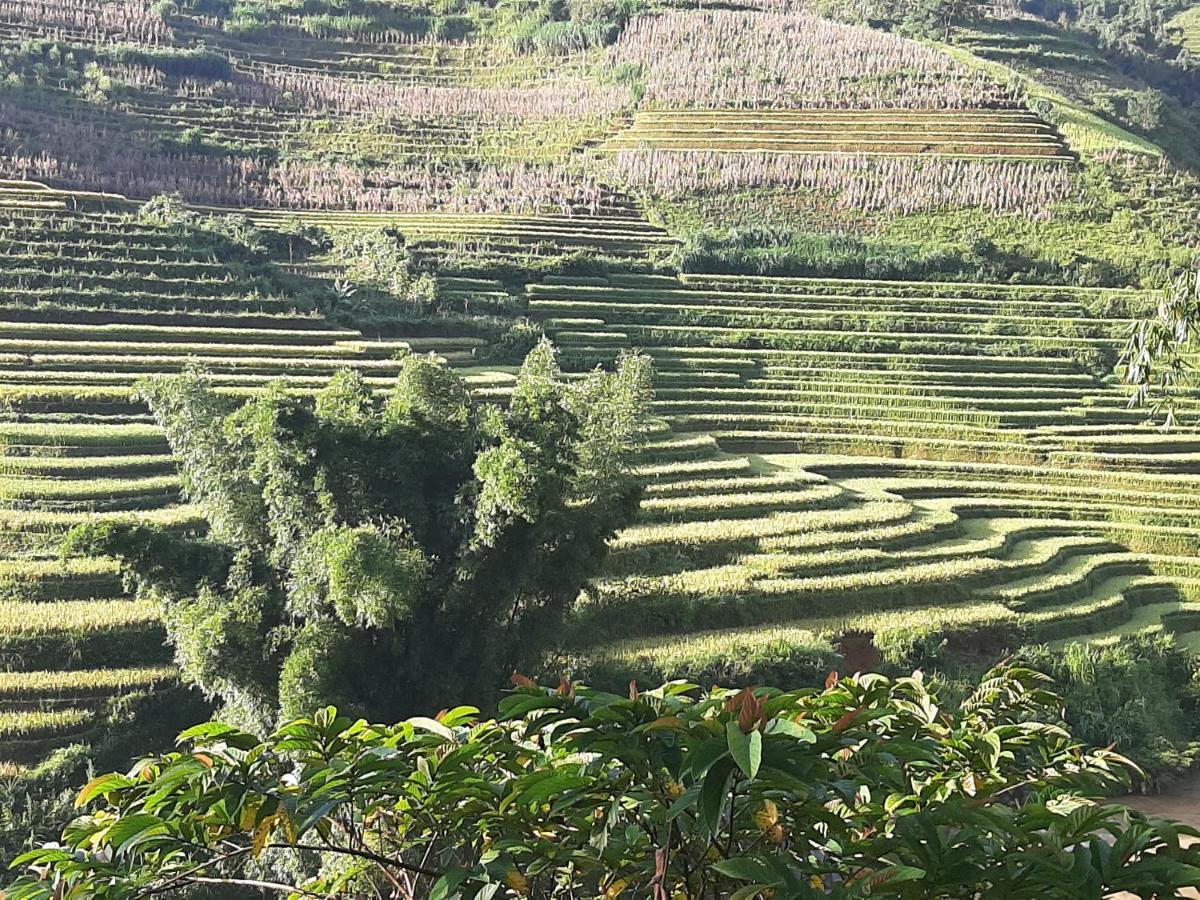 Dong Suoi H'Mong Homestay & Bungalow - Trek & Vegetarian Food Mu Cang Chai Εξωτερικό φωτογραφία
