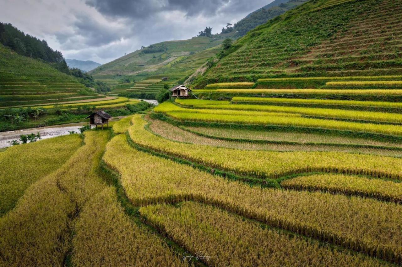 Dong Suoi H'Mong Homestay & Bungalow - Trek & Vegetarian Food Mu Cang Chai Εξωτερικό φωτογραφία