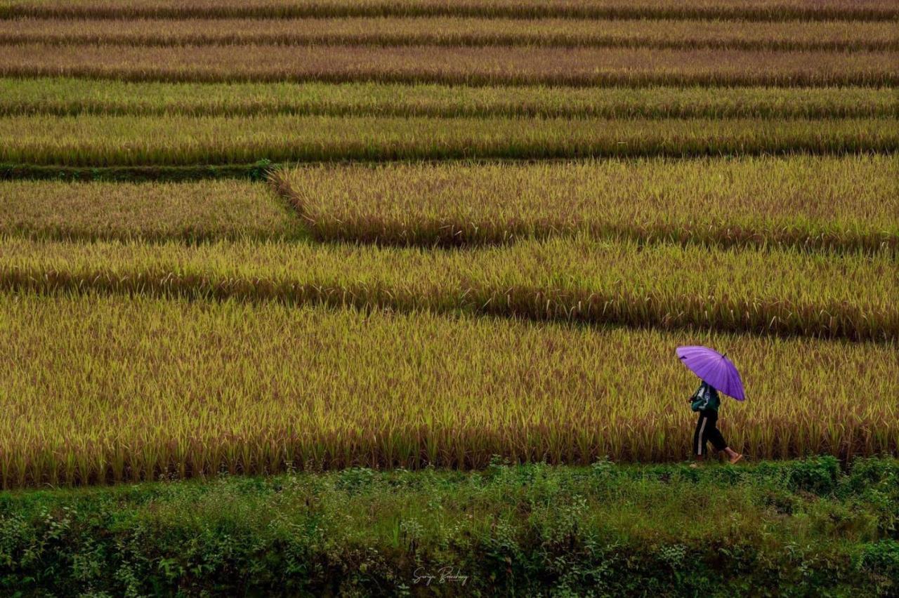 Dong Suoi H'Mong Homestay & Bungalow - Trek & Vegetarian Food Mu Cang Chai Εξωτερικό φωτογραφία