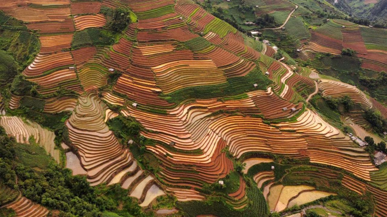 Dong Suoi H'Mong Homestay & Bungalow - Trek & Vegetarian Food Mu Cang Chai Εξωτερικό φωτογραφία
