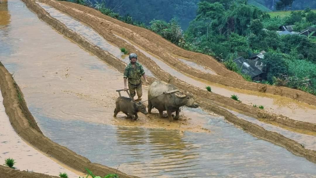 Dong Suoi H'Mong Homestay & Bungalow - Trek & Vegetarian Food Mu Cang Chai Εξωτερικό φωτογραφία