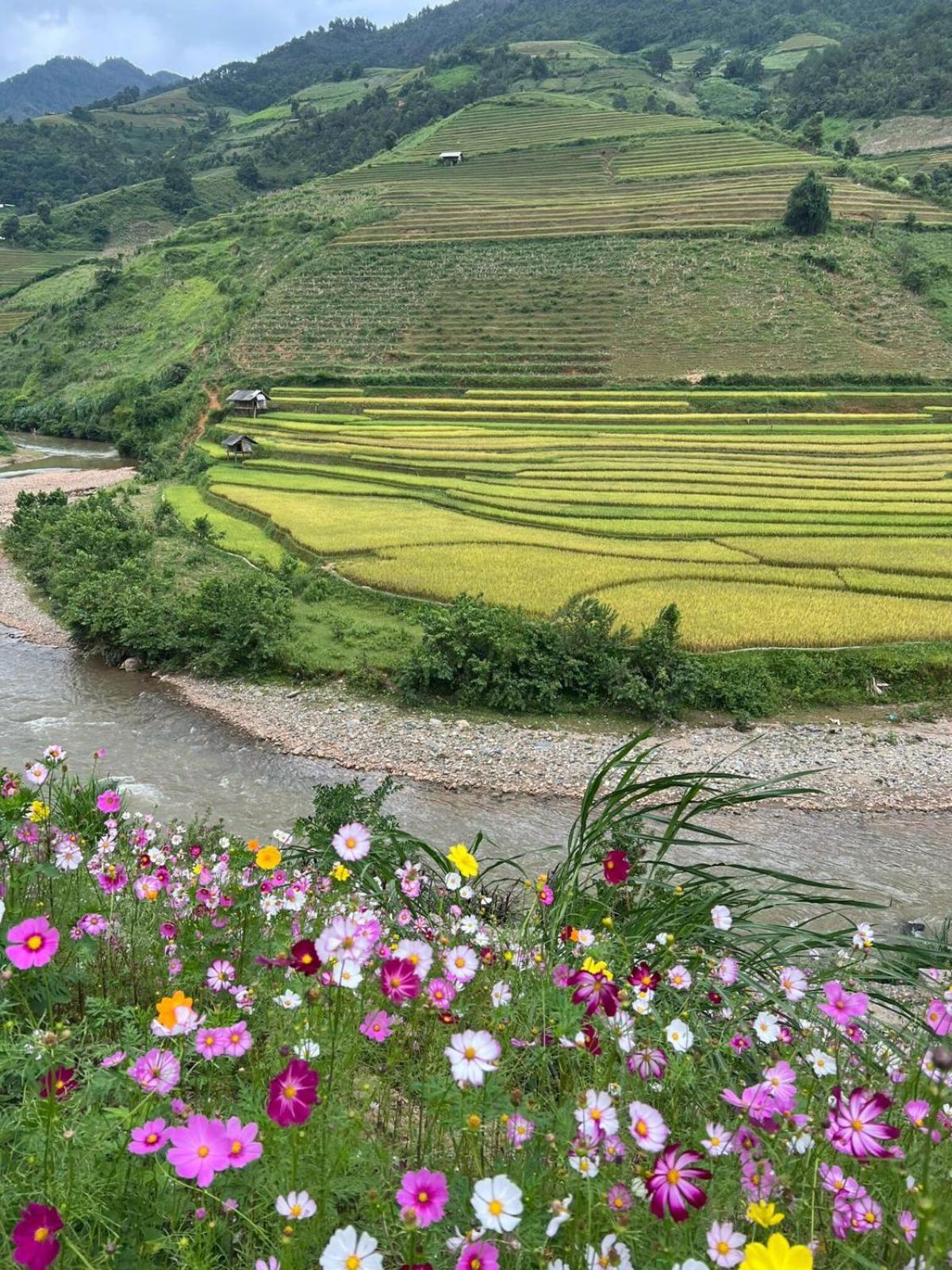 Dong Suoi H'Mong Homestay & Bungalow - Trek & Vegetarian Food Mu Cang Chai Εξωτερικό φωτογραφία