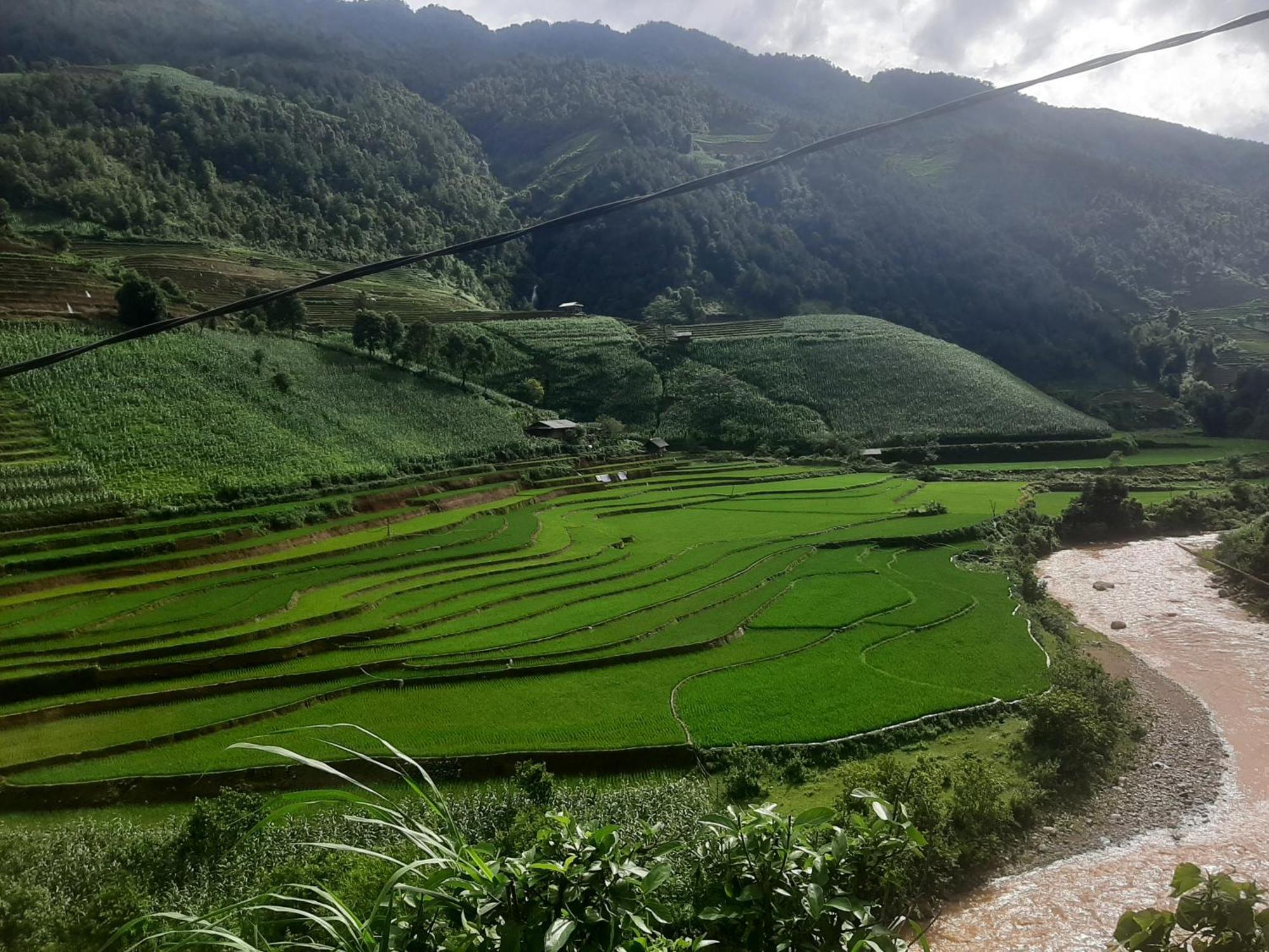 Dong Suoi H'Mong Homestay & Bungalow - Trek & Vegetarian Food Mu Cang Chai Εξωτερικό φωτογραφία