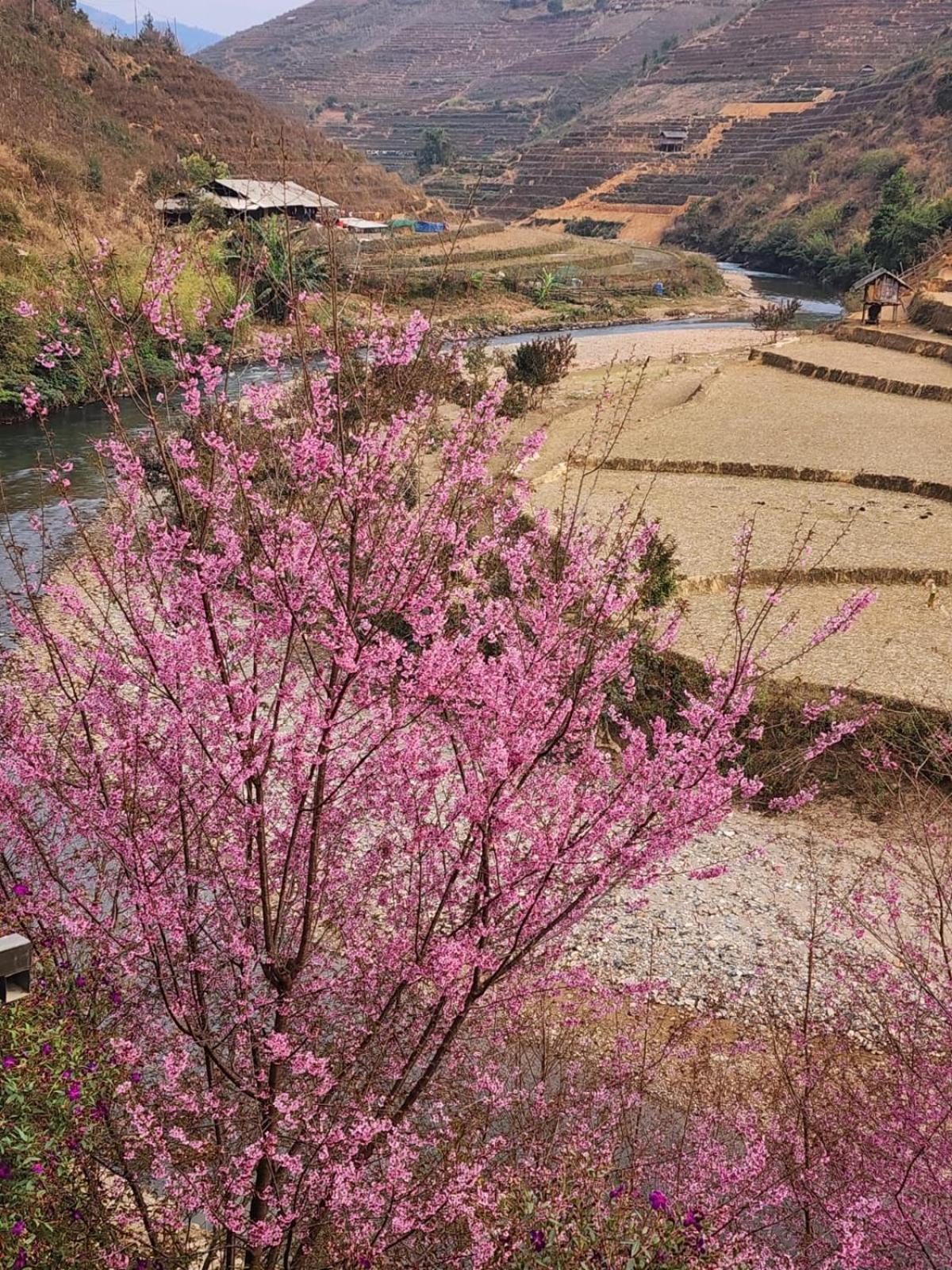 Dong Suoi H'Mong Homestay & Bungalow - Trek & Vegetarian Food Mu Cang Chai Εξωτερικό φωτογραφία